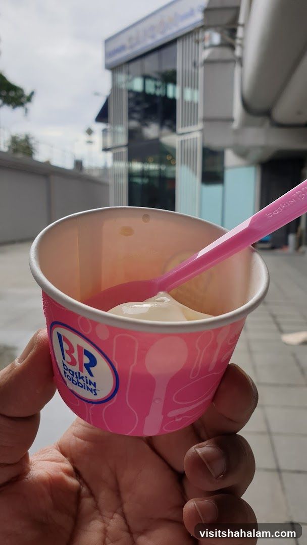 Baskin Robbins Ice Cream Cup