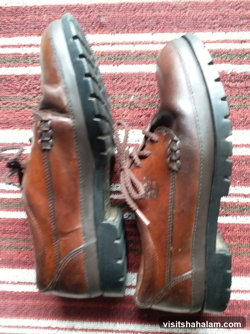 Brown Leather Shoes