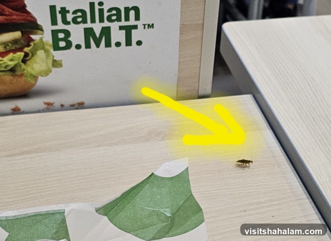 Italian B.M.T. Advertisement