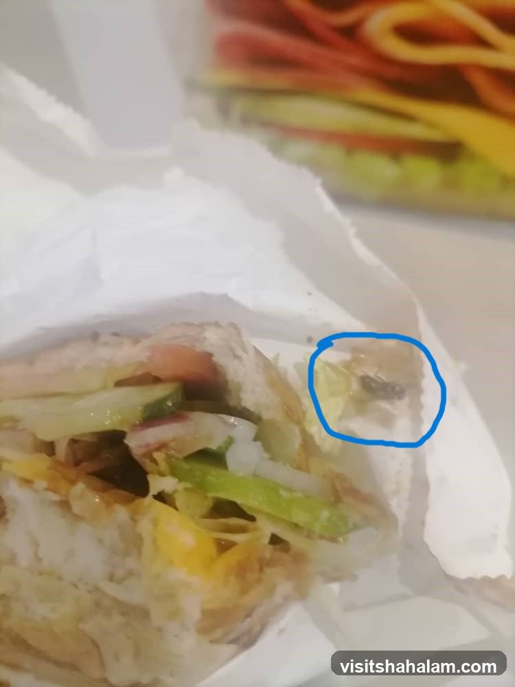Sandwich with an insect