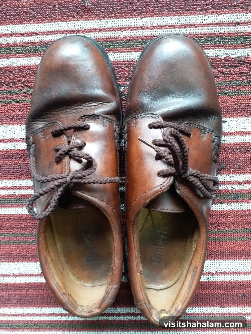 Brown Leather Shoes