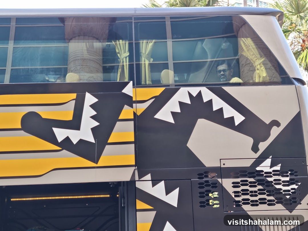 Bus with Egyptian-themed Decals