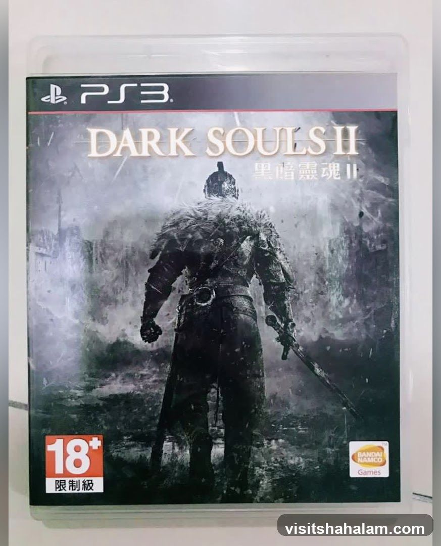Dark Souls II PS3 Game Case