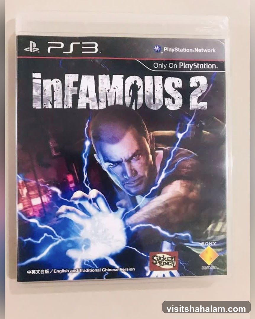 Infamous 2 PlayStation 3 Game