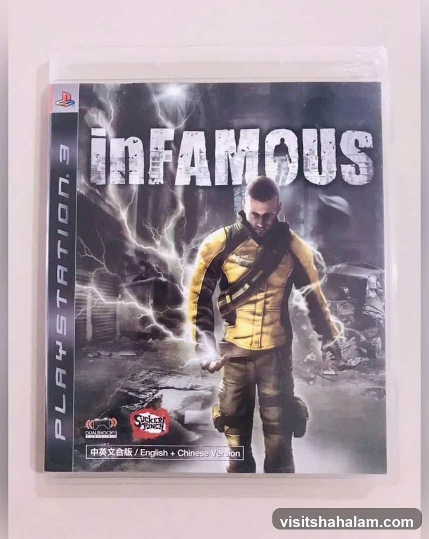 Infamous PlayStation 3 Game Case