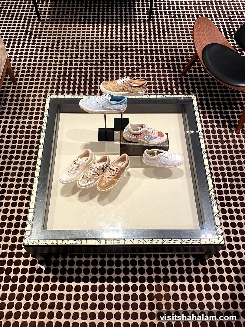 Coach Sneakers Display