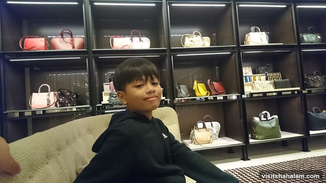 Boy in a handbag store