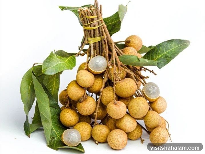 Longan Fruit