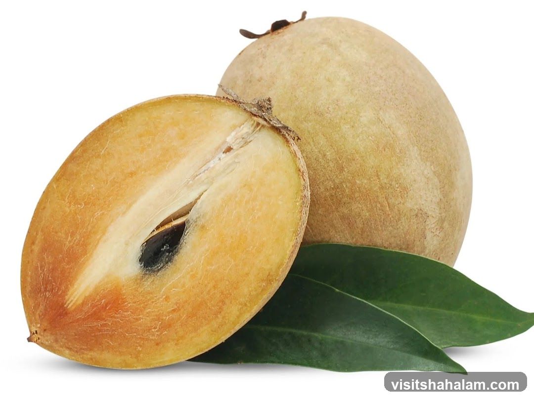 Sapodilla Fruit