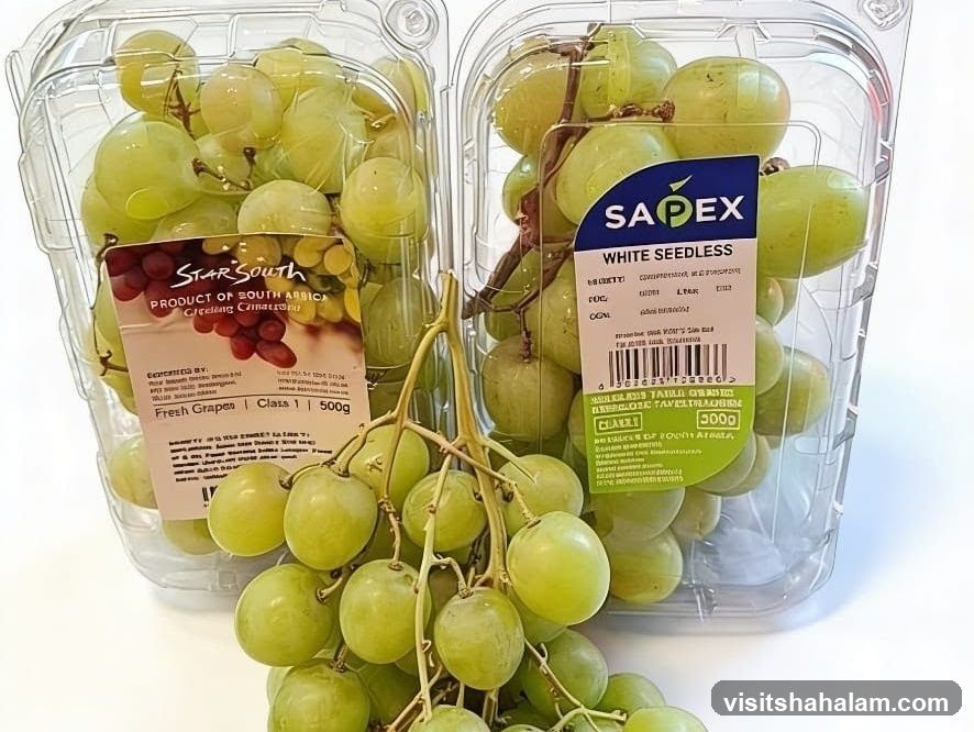Fresh Grapes