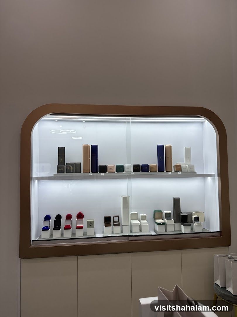 Jewelry Display Case