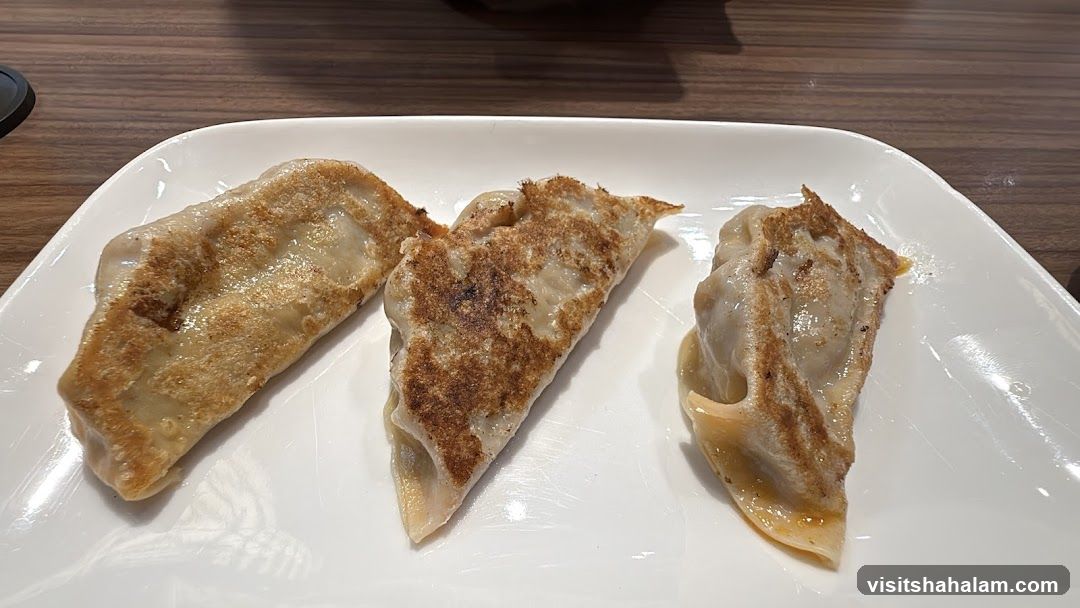 Pan-fried dumplings