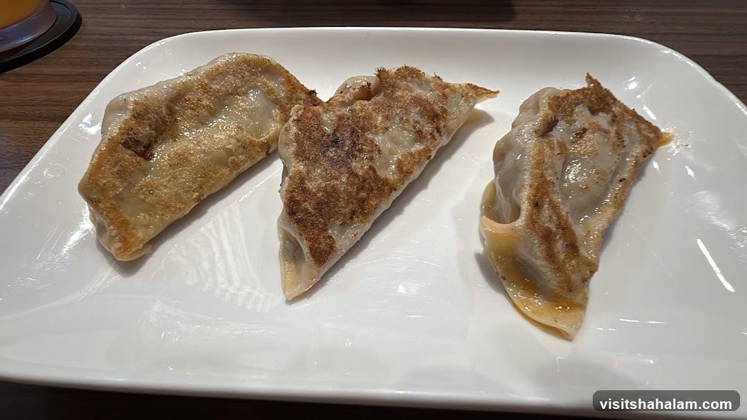 Pan-fried dumplings