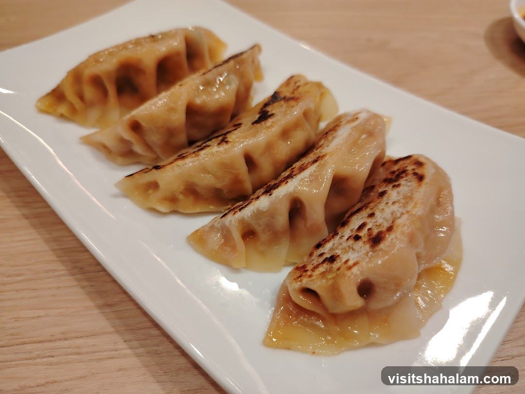 Pan-fried dumplings