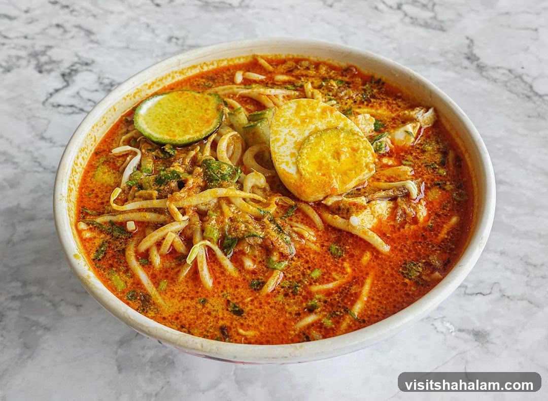 Laksa Noodle Soup