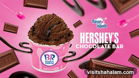 Baskin Robbins Hershey's Chocolate Bar Ice Cream