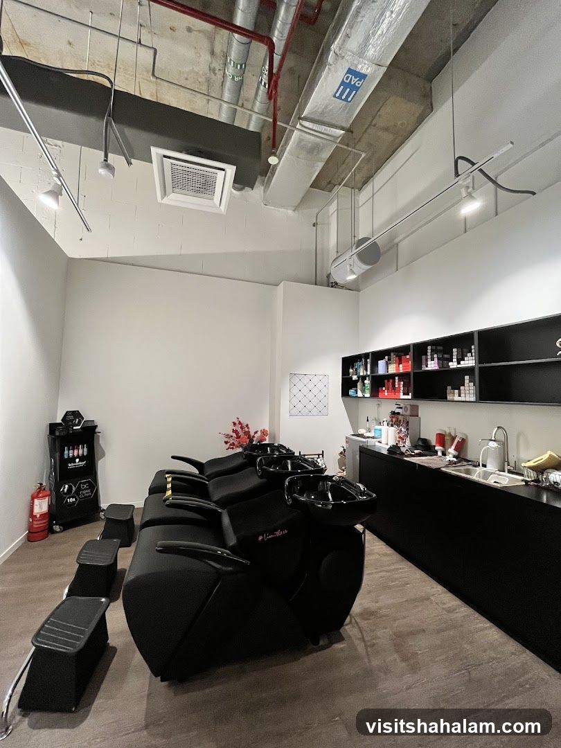 Hair Salon Wash Area