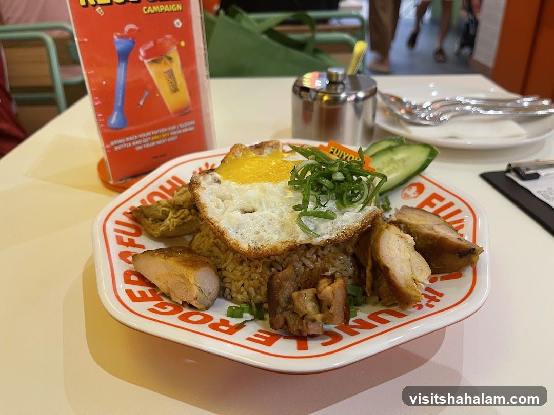 Fried Rice with Chicken and Egg