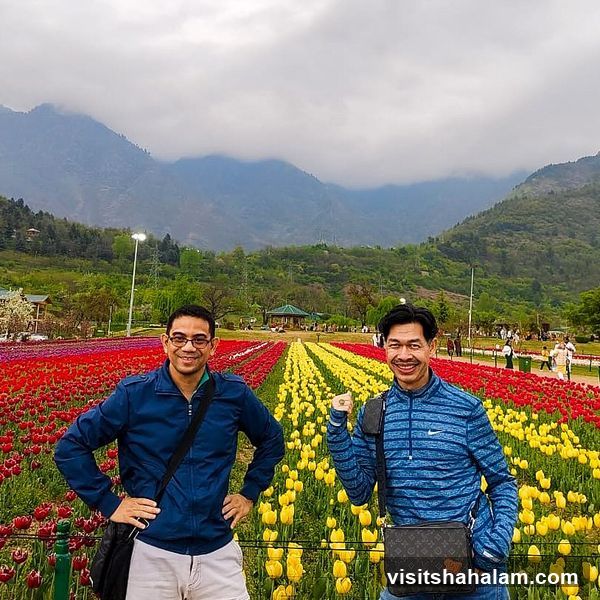 Two men posing in a field of tulips