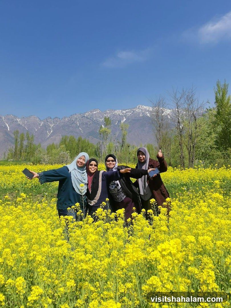 Four women in a field of yellow flowers with mountains in the background