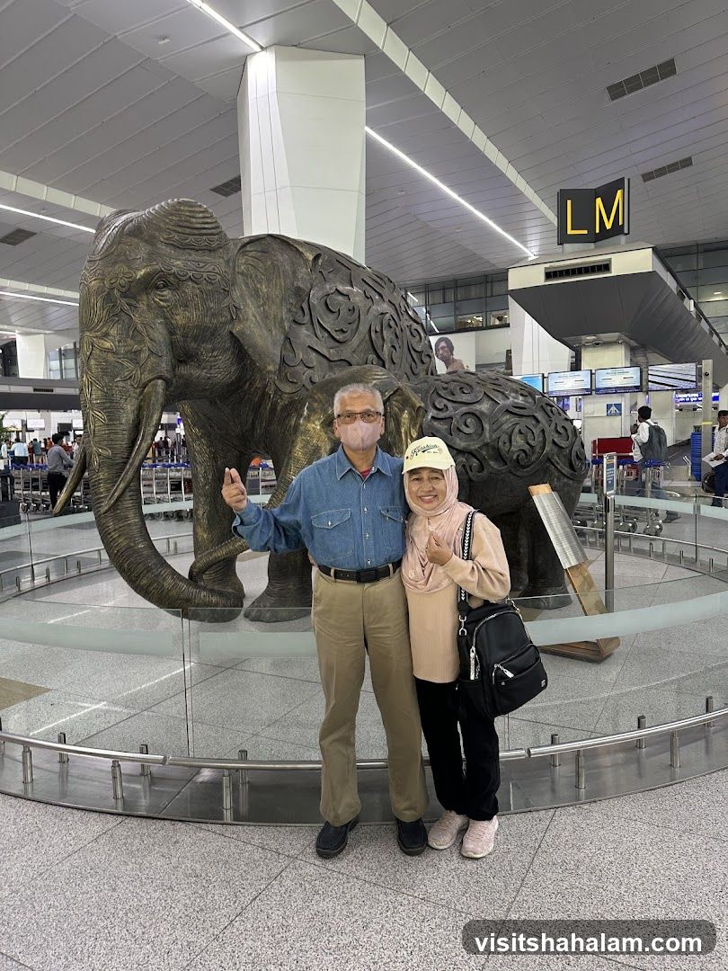 Two People Posing in Front of an Elephant Sculpture