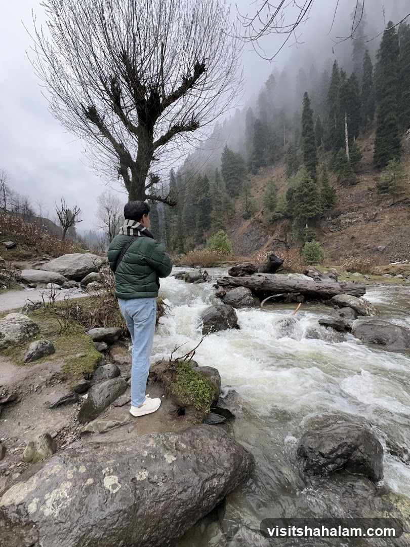 Person by a River in a Misty Forest