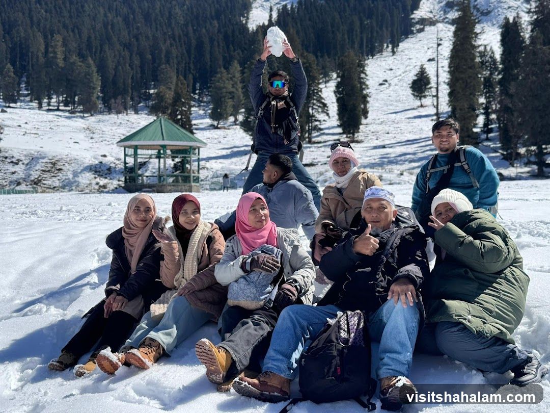 Group posing in snow with gazebo and trees