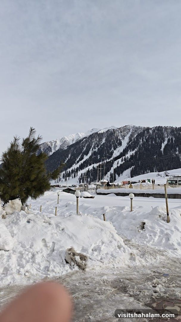 Snowy Mountain Landscape with Trees and Buildings