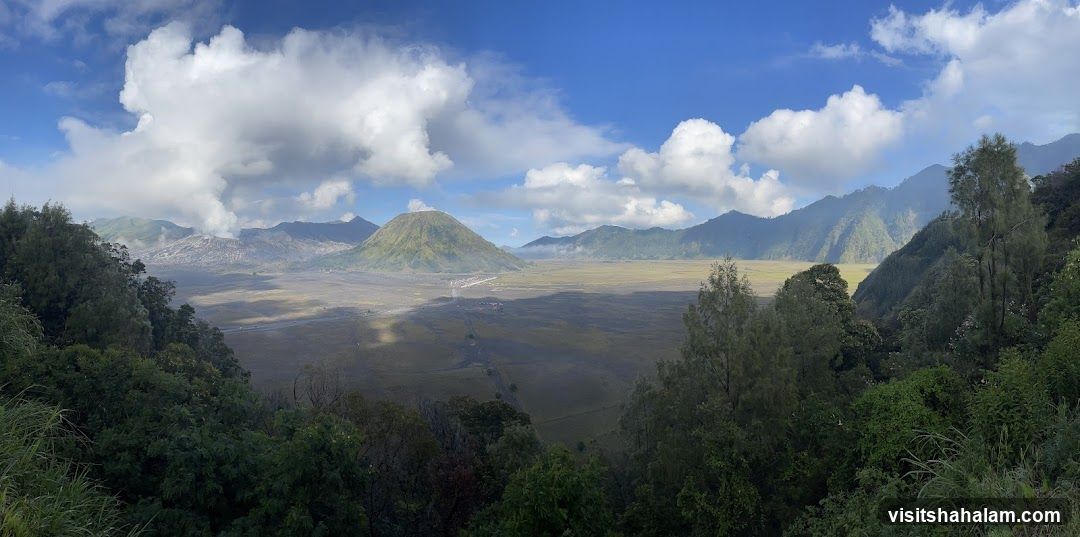 Volcanic Landscape