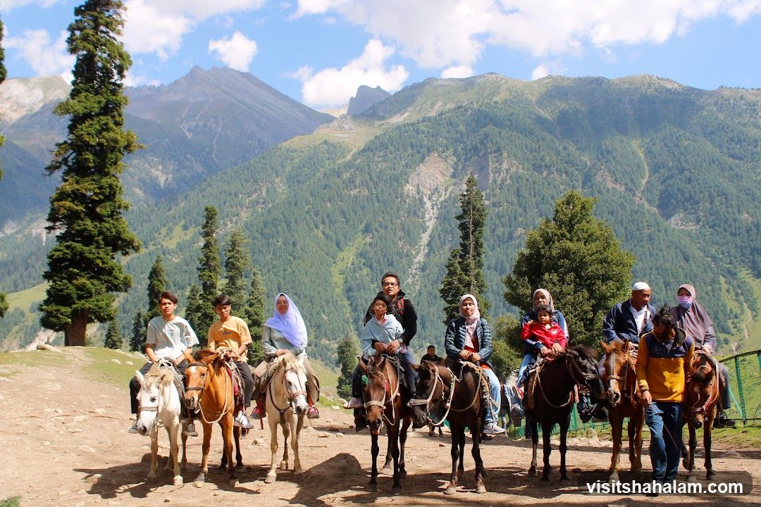 People on horseback in a mountainous landscape