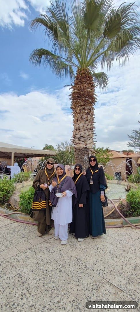 Four women posing under a palm tree
