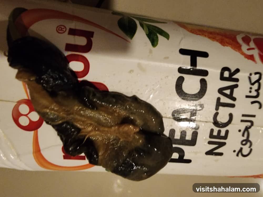 Peach Nectar Carton with Fruit