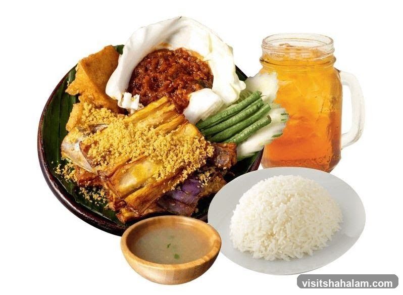 Fried Eggplant and Rice Set