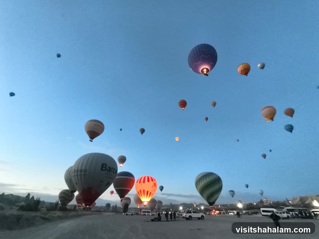 Hot Air Balloons at Sunrise