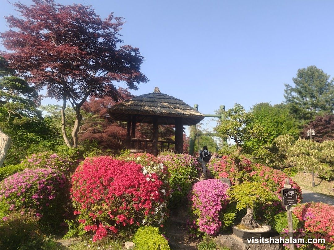 Japanese Garden with Gazebo and Azaleas