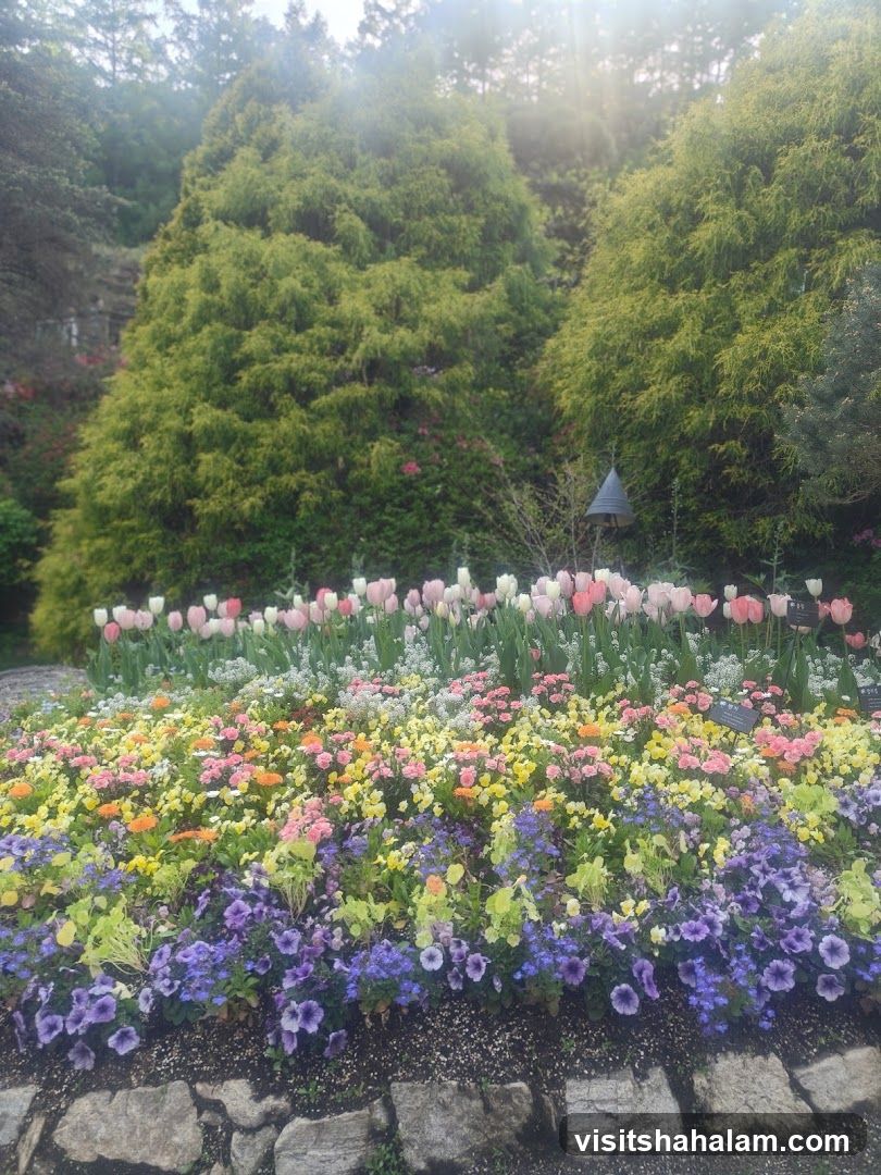 Flower Garden