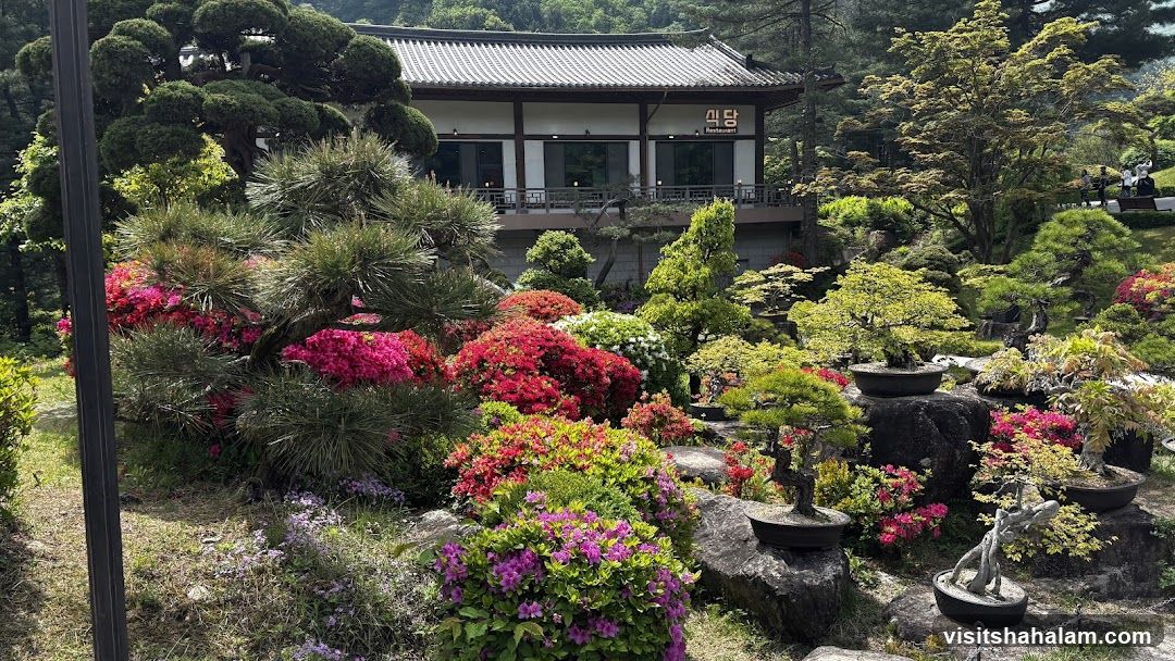 Restaurant surrounded by bonsai garden
