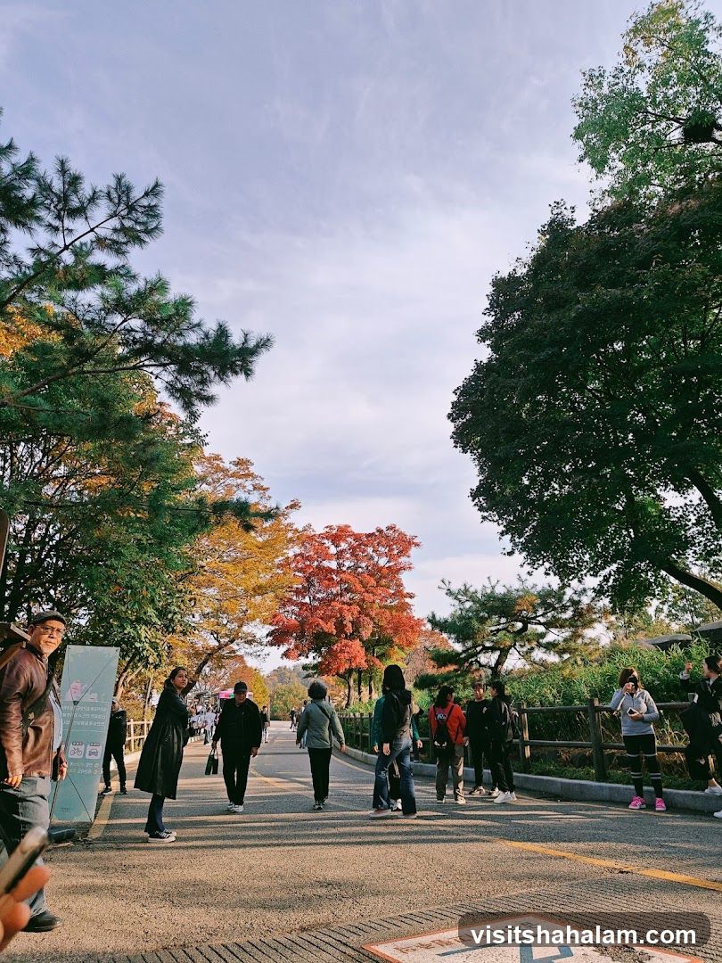 People walking on a path with autumn foliage