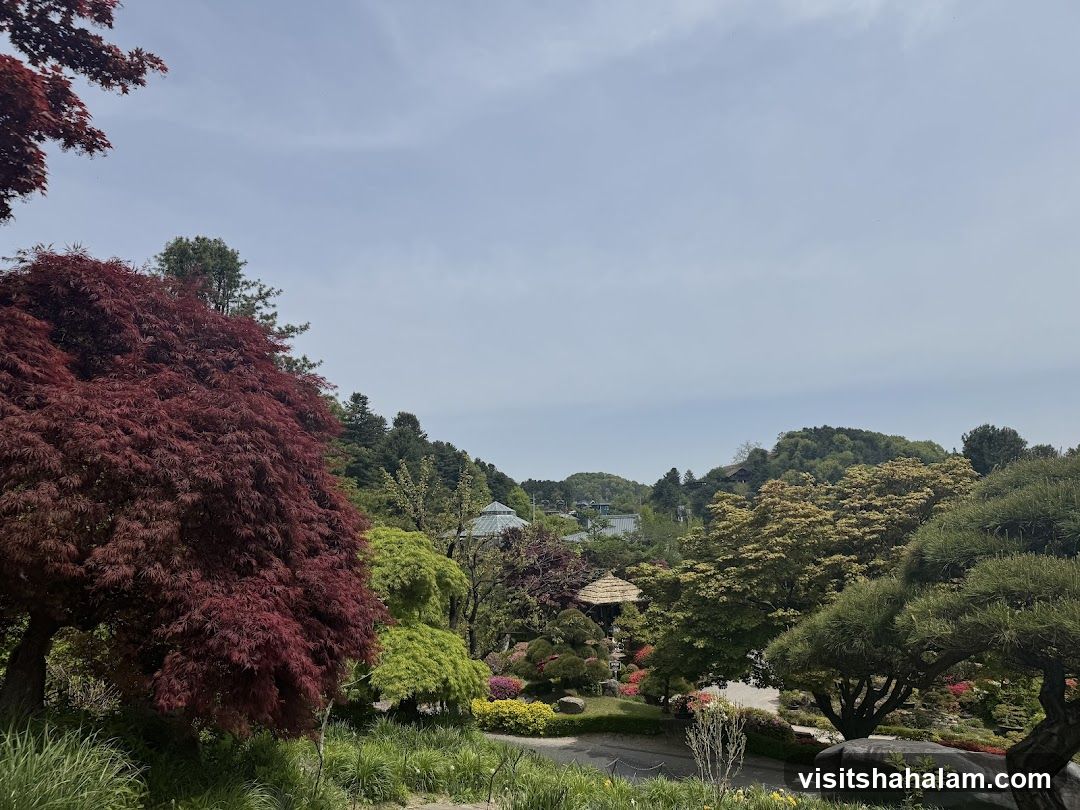Japanese Garden Landscape