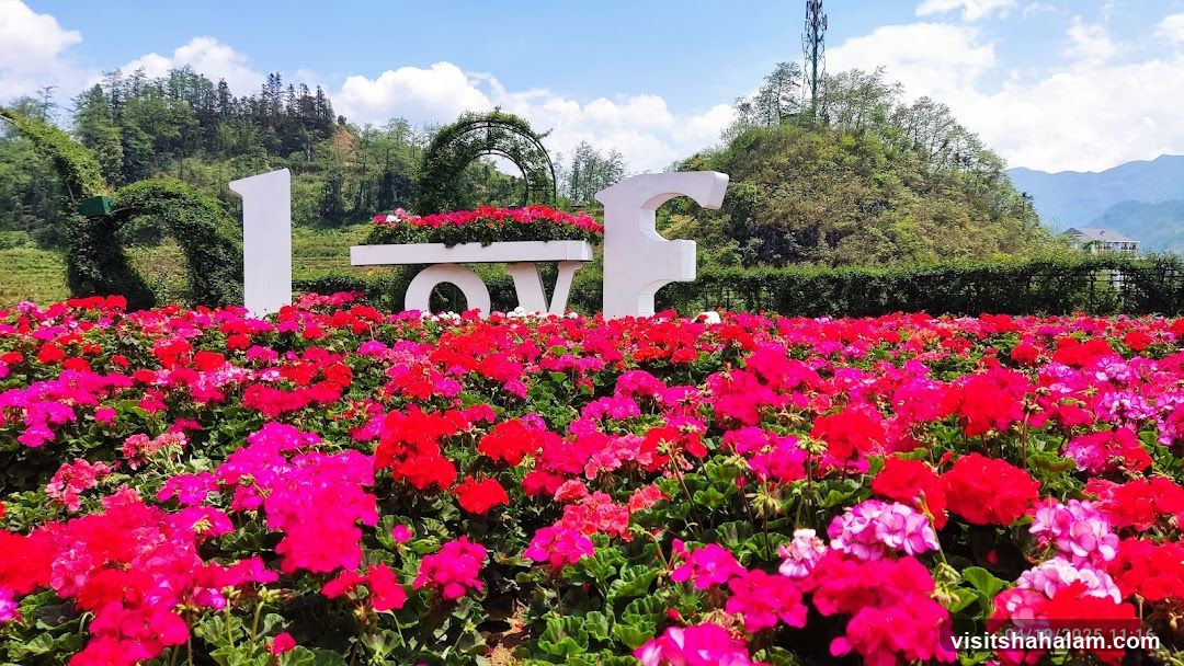 Flower Garden with LOVE Sign