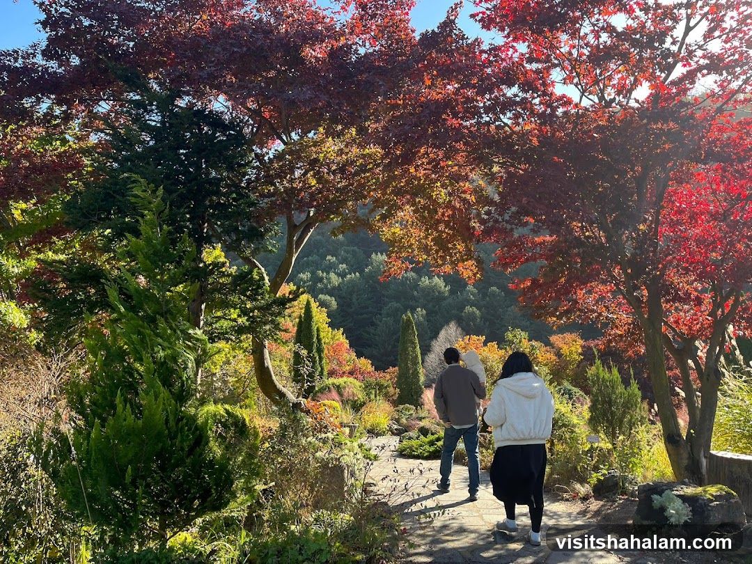 Autumn Garden Path