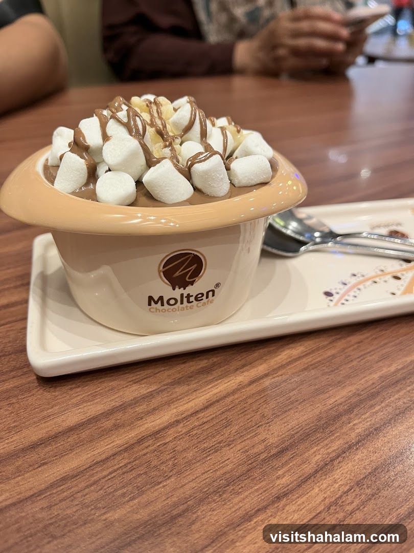 Dessert with Marshmallows and Chocolate Drizzle
