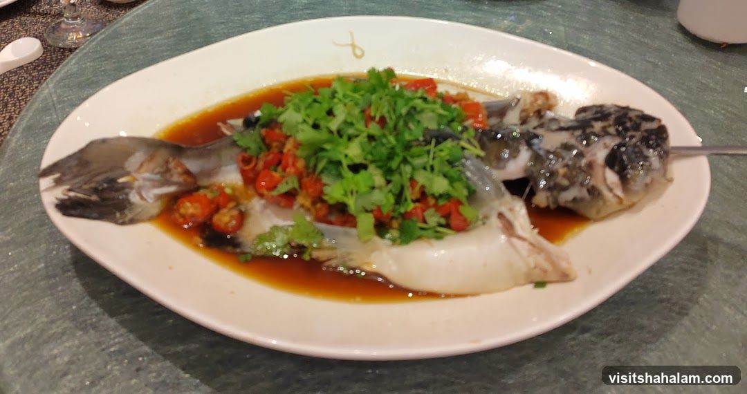 Steamed Fish with Chili and Cilantro