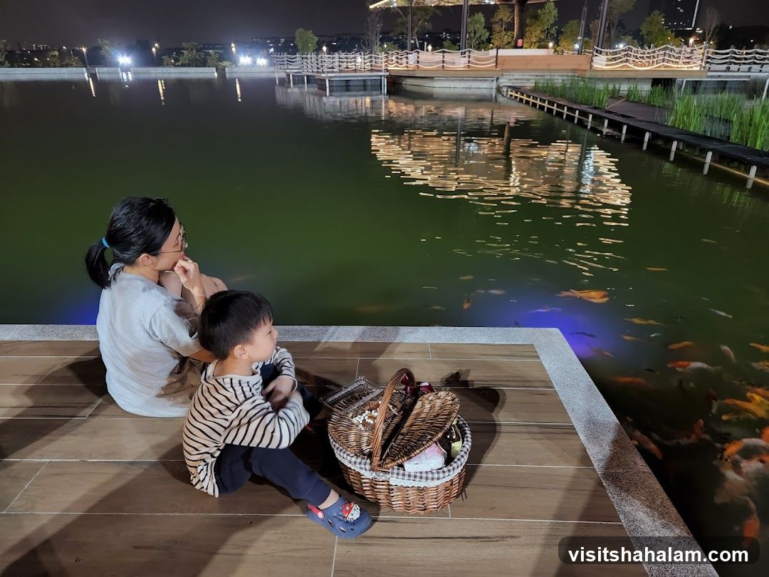 People watching fish in a pond at night