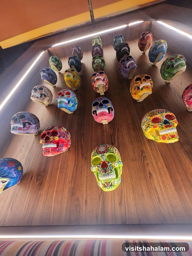 Decorated Skulls Display