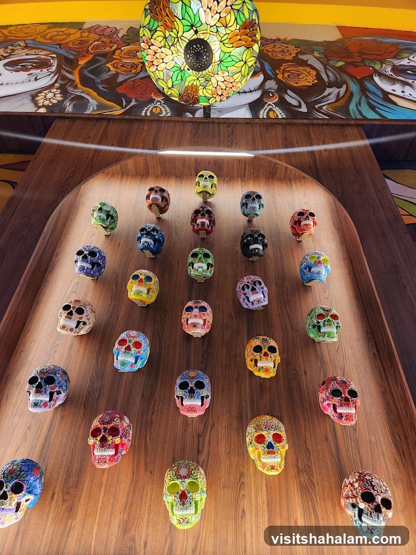 Decorated Skulls Display