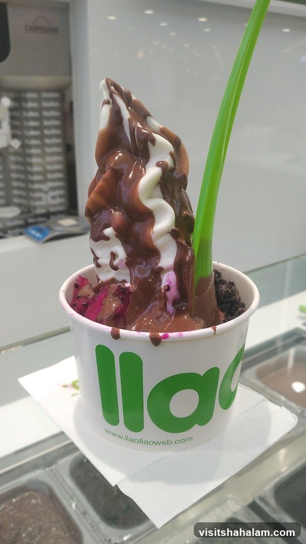 Frozen Yogurt with Chocolate Drizzle