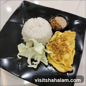 Omelette with Rice