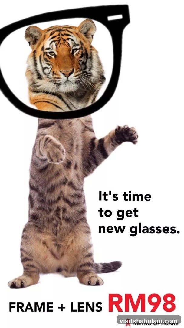 Metro Opticare Promotion
