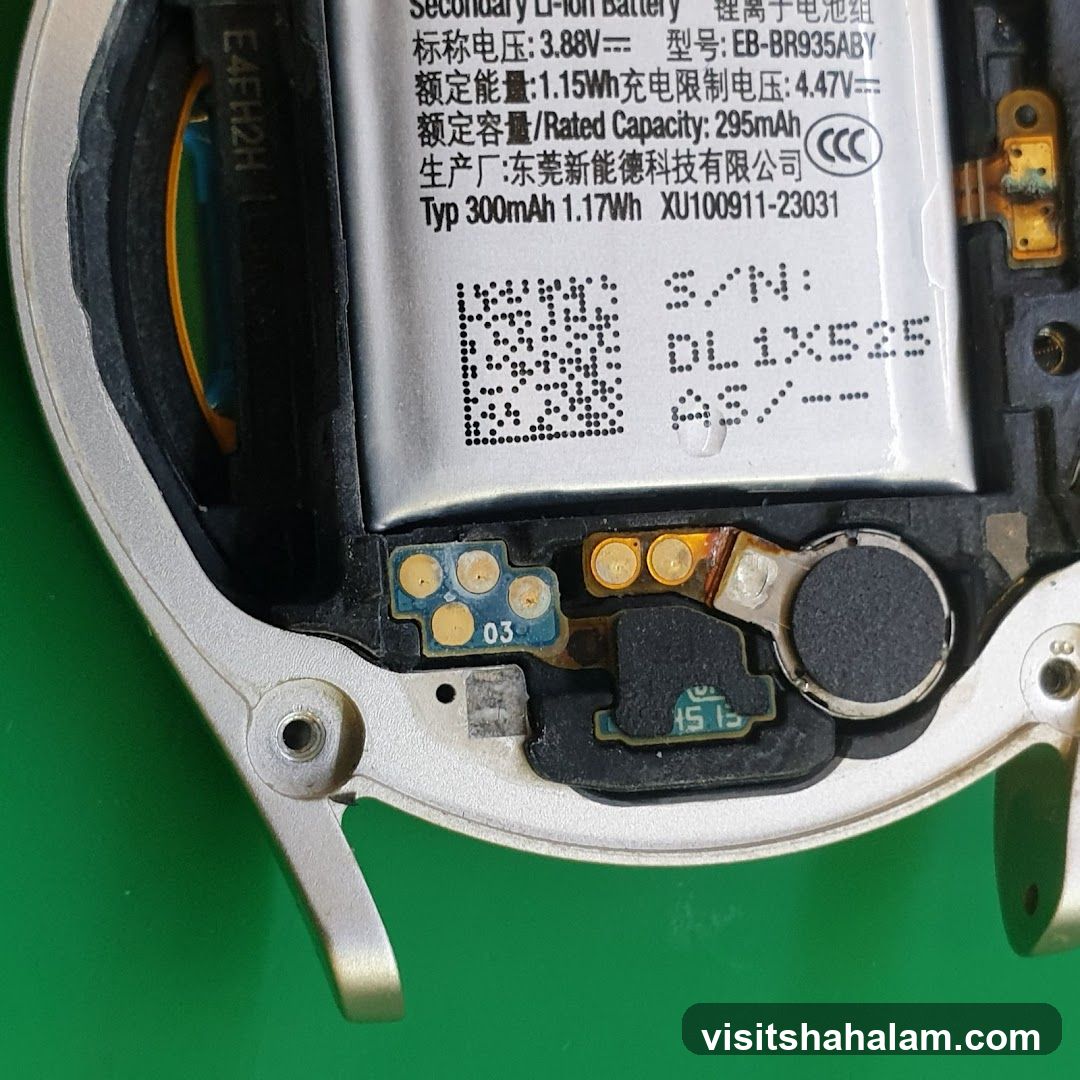 Smartwatch Internal Components